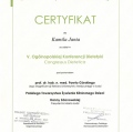 Powiększ obraz: certificate 8