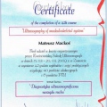 Powiększ obraz: certificate 10