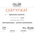 Powiększ obraz: certificate 11
