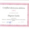 Powiększ obraz: certificate 4