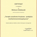 Powiększ obraz: certificate 8