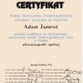 Powiększ obraz: certificate 37