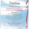 Powiększ obraz: certificate 7
