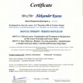 Powiększ obraz: certificate 11