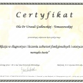 Powiększ obraz: certificate 33