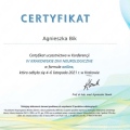 Powiększ obraz: certificate 4