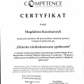 Powiększ obraz: certificate 11