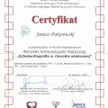 Powiększ obraz: certificate 55