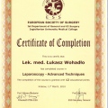 Powiększ obraz: certificate 2