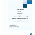 Powiększ obraz: certificate 3