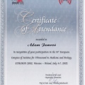 Powiększ obraz: certificate 15