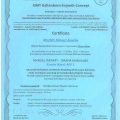 Powiększ obraz: certificate 8