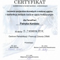 Powiększ obraz: certificate 2