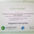 Powiększ obraz: certificate 11