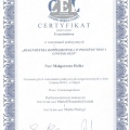 Powiększ obraz: certificate 4