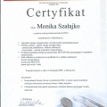 Powiększ obraz: certificate 10