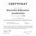 Powiększ obraz: certificate 3