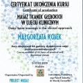 Powiększ obraz: certificate 5