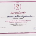 Powiększ obraz: certificate 4