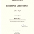 Powiększ obraz: certificate 19