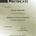 Powiększ obraz: certificate 16