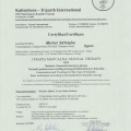 Powiększ obraz: certificate 11