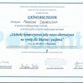 Powiększ obraz: certificate 6