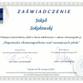 Powiększ obraz: certificate 7