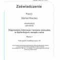 Powiększ obraz: certificate 24