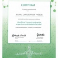 Powiększ obraz: certificate 7