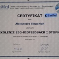 Powiększ obraz: certificate 1