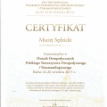 Powiększ obraz: certificate 11