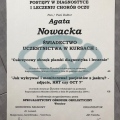 Powiększ obraz: certificate 27