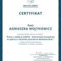 Powiększ obraz: certificate 8