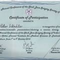 Powiększ obraz: certificate 9