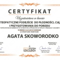 Powiększ obraz: certificate 17