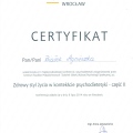 Powiększ obraz: certificate 6