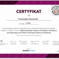 Powiększ obraz: certificate 2