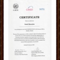Powiększ obraz: certificate 7