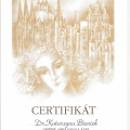 Powiększ obraz: certificate 4