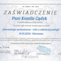 Powiększ obraz: certificate 7