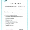 Powiększ obraz: certificate 1