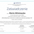 Powiększ obraz: certificate 28