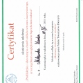 Powiększ obraz: certificate 8