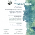 Powiększ obraz: certificate 7