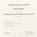 Powiększ obraz: certificate 7