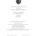 Powiększ obraz: certificate 4