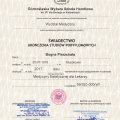 Powiększ obraz: certificate 3