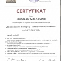 Powiększ obraz: certificate 10