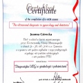 Powiększ obraz: certificate 10